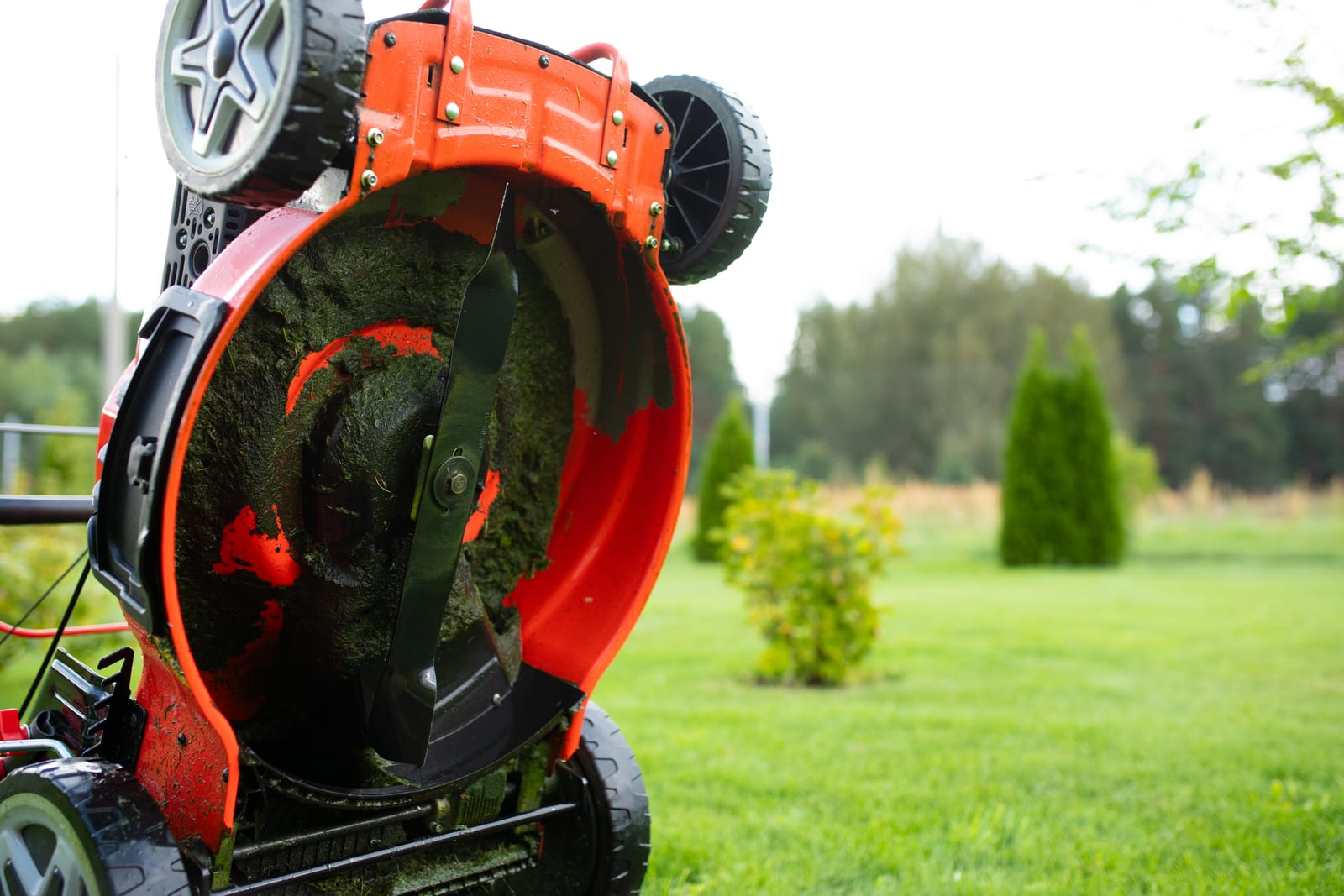 Packed grass clippings being scraped from the underside of a mower deck